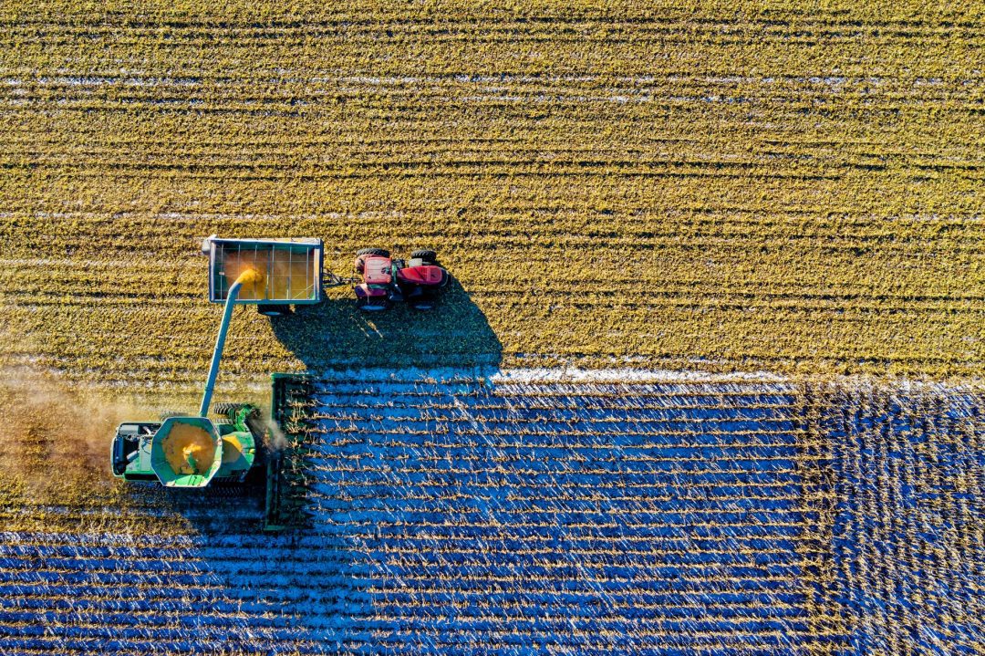 Inflação em queda, taxas de juros baixas e relativa recuperação de empregos e a produção agrícola são apontados como sinais positivos para o país em 2020. Foto por Tom Fisk em Pexels.com